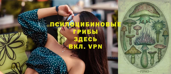 спайс Кодинск