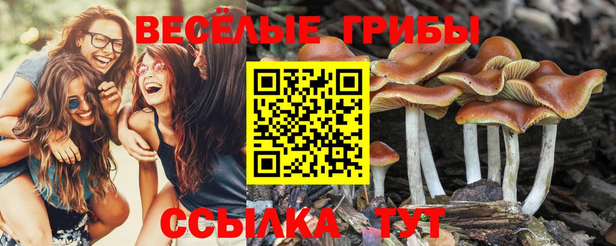 Псилоцибиновые грибы ЛСД  Галлюциногенные грибы прущие грибы  Киров 