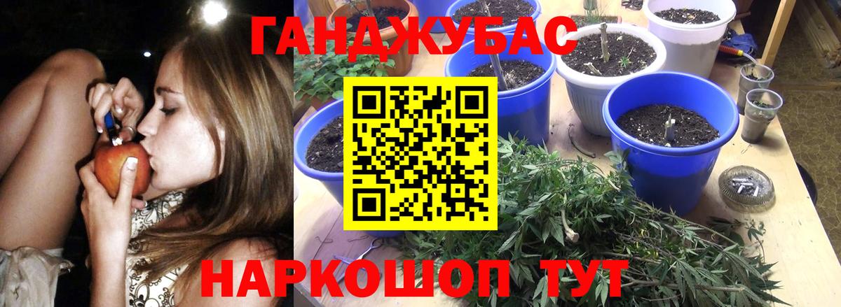 Киров  Каннабис семена  Вход с VPN  Марихуана индика 